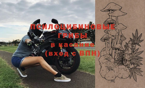 прущая мука Болхов